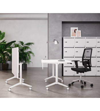 LINEA EIDOS PLEGABLE